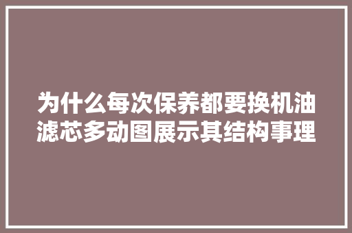 为什么每次保养都要换机油滤芯多动图展示其结构事理