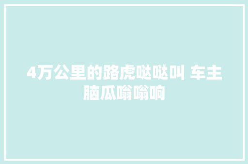 4万公里的路虎哒哒叫 车主脑瓜嗡嗡响