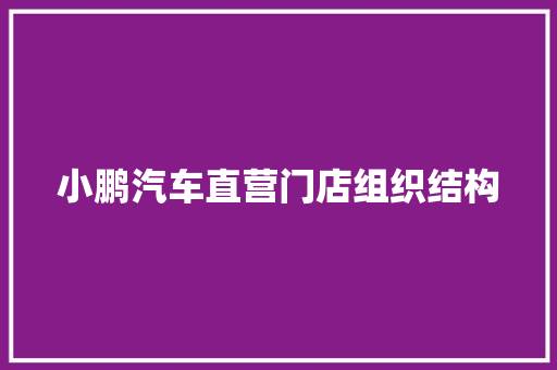 小鹏汽车直营门店组织结构