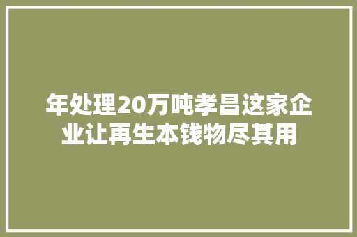 年处理20万吨孝昌这家企业让再生本钱物尽其用