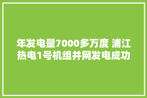 年发电量7000多万度 浦江热电1号机组并网发电成功