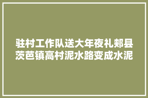 驻村工作队送大年夜礼郏县茨芭镇高村泥水路变成水泥路  第1张