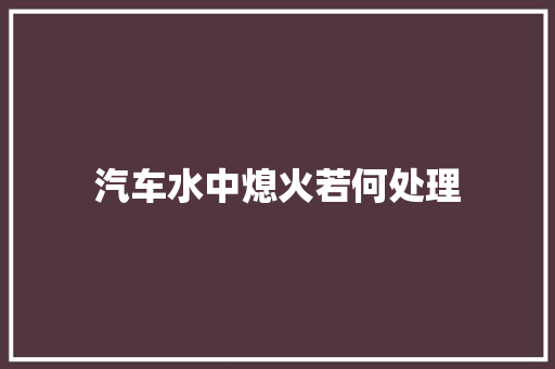 汽车水中熄火若何处理