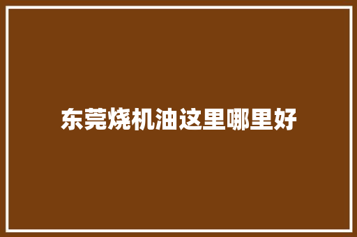 东莞烧机油这里哪里好