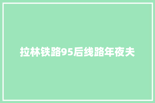 拉林铁路95后线路年夜夫