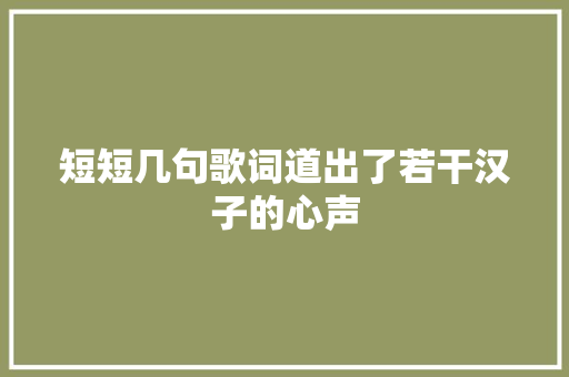 短短几句歌词道出了若干汉子的心声 休闲娱乐
