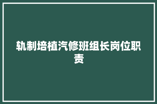 轨制培植汽修班组长岗位职责