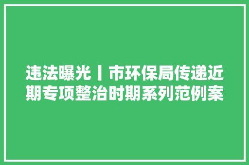 违法曝光丨市环保局传递近期专项整治时期系列范例案例十二