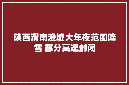 陕西渭南澄城大年夜范围降雪 部分高速封闭