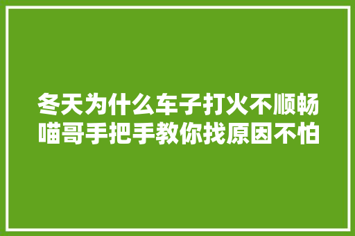 冬天为什么车子打火不顺畅喵哥手把手教你找原因不怕被坑 汽车知识