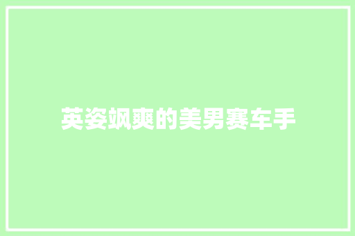 英姿飒爽的美男赛车手