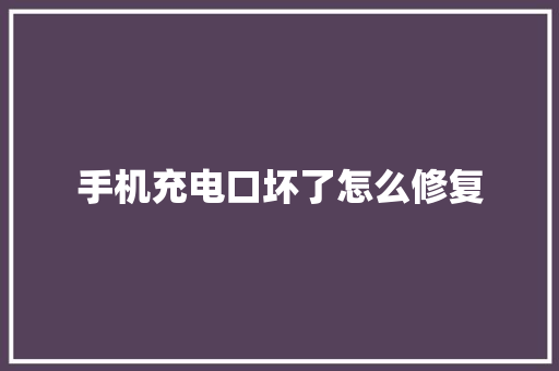 手机充电口坏了怎么修复