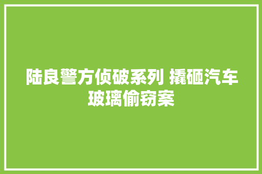 陆良警方侦破系列 撬砸汽车玻璃偷窃案