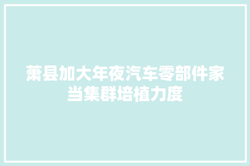 萧县加大年夜汽车零部件家当集群培植力度