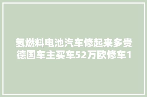 氢燃料电池汽车修起来多贵德国车主买车52万欧修车10万欧