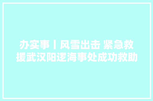 办实事丨风雪出击 紧急救援武汉阳逻海事处成功救助遇险船员