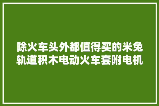 除火车头外都值得买的米兔轨道积木电动火车套附电机更换介绍