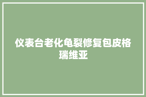 仪表台老化龟裂修复包皮格瑞维亚