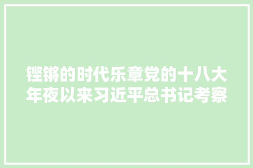 铿锵的时代乐章党的十八大年夜以来习近平总书记考察调研过的穷苦村脱贫查询访问