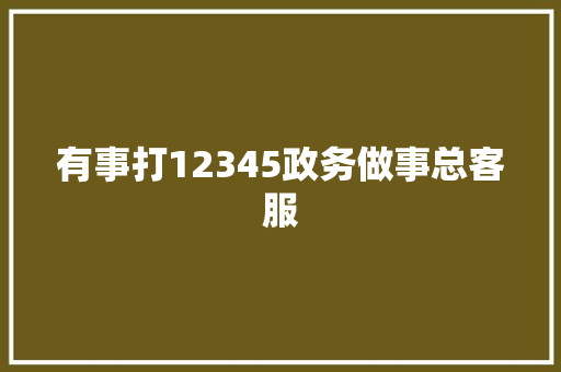 有事打12345政务做事总客服