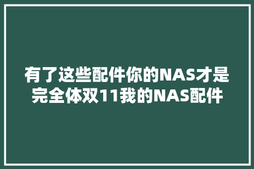 有了这些配件你的NAS才是完全体双11我的NAS配件分享