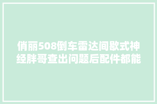 俏丽508倒车雷达间歇式神经胖哥查出问题后配件都能卖断货