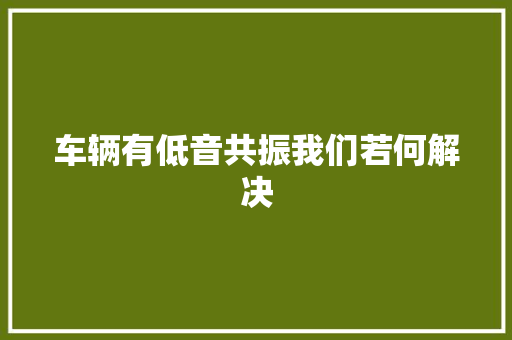 车辆有低音共振我们若何解决