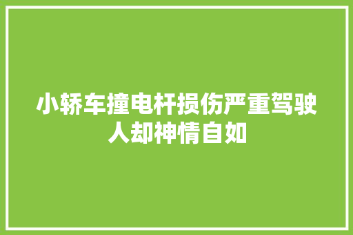 小轿车撞电杆损伤严重驾驶人却神情自如 汽车知识