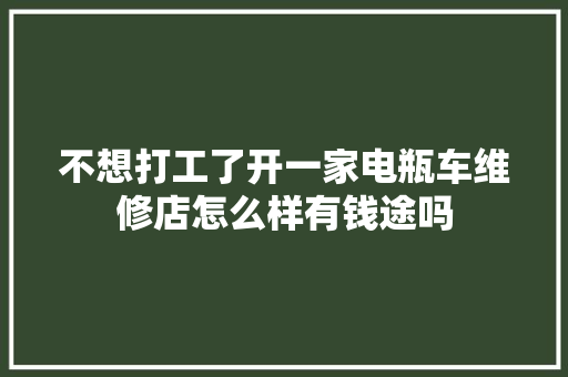 不想打工了开一家电瓶车维修店怎么样有钱途吗