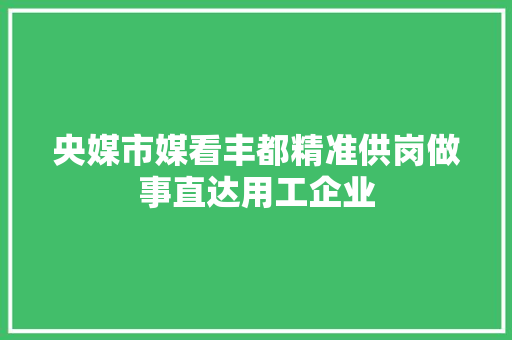 央媒市媒看丰都精准供岗做事直达用工企业