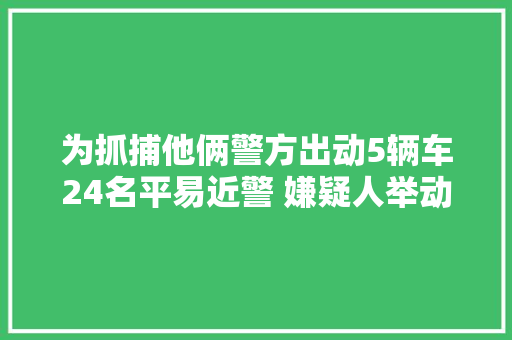为抓捕他俩警方出动5辆车24名平易近警 嫌疑人举动出乎警方猜想