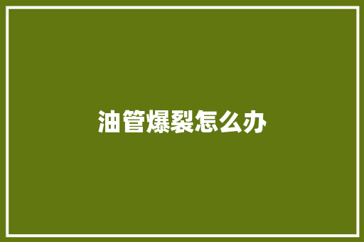 油管爆裂怎么办