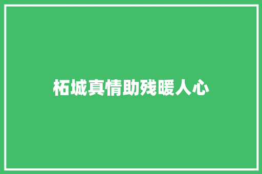 柘城真情助残暖人心