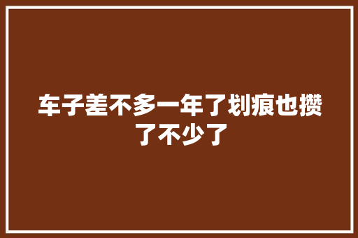 车子差不多一年了划痕也攒了不少了