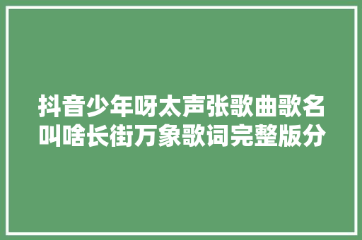 抖音少年呀太声张歌曲歌名叫啥长街万象歌词完整版分享