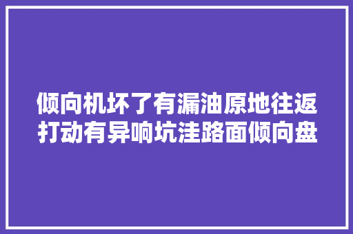 倾向机坏了有漏油原地往返打动有异响坑洼路面倾向盘左
