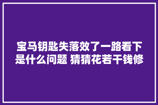 宝马钥匙失落效了一路看下是什么问题 猜猜花若干钱修好