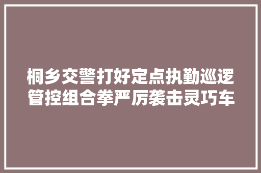 桐乡交警打好定点执勤巡逻管控组合拳严厉袭击灵巧车造孽改装