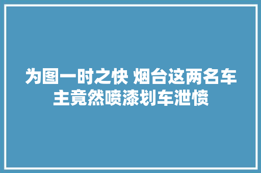 为图一时之快 烟台这两名车主竟然喷漆划车泄愤