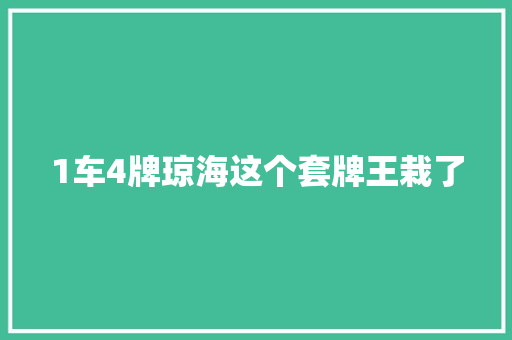 1车4牌琼海这个套牌王栽了