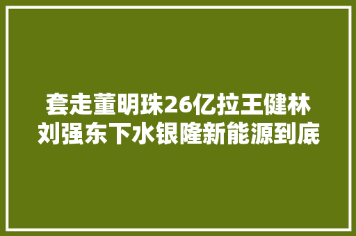 套走董明珠26亿拉王健林刘强东下水银隆新能源到底有何高人