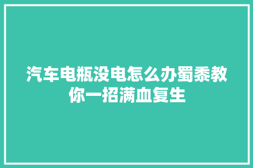 汽车电瓶没电怎么办蜀黍教你一招满血复生