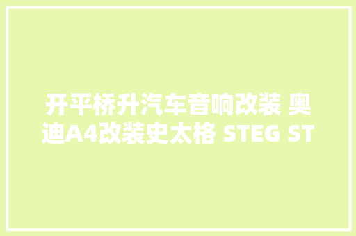 开平桥升汽车音响改装 奥迪A4改装史太格 STEG ST650C 满载欢乐