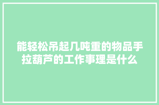 能轻松吊起几吨重的物品手拉葫芦的工作事理是什么