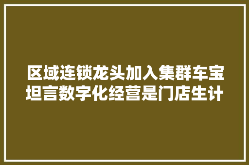 区域连锁龙头加入集群车宝坦言数字化经营是门店生计的关键