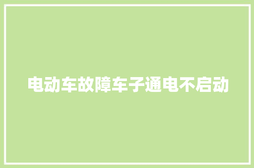 电动车故障车子通电不启动