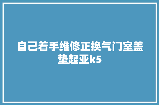 自己着手维修正换气门室盖垫起亚k5