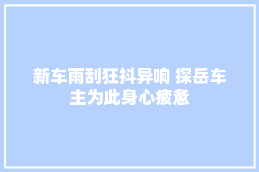 新车雨刮狂抖异响 探岳车主为此身心疲惫