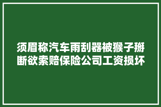 须眉称汽车雨刮器被猴子掰断欲索赔保险公司工资损坏不赔