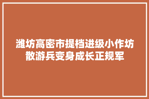 潍坊高密市提档进级小作坊散游兵变身成长正规军